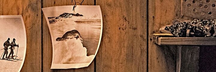 BrigitteV_11's profile banner image