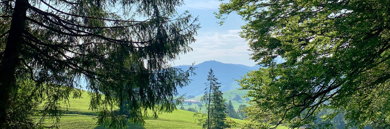 MackinnonAli's profile banner image