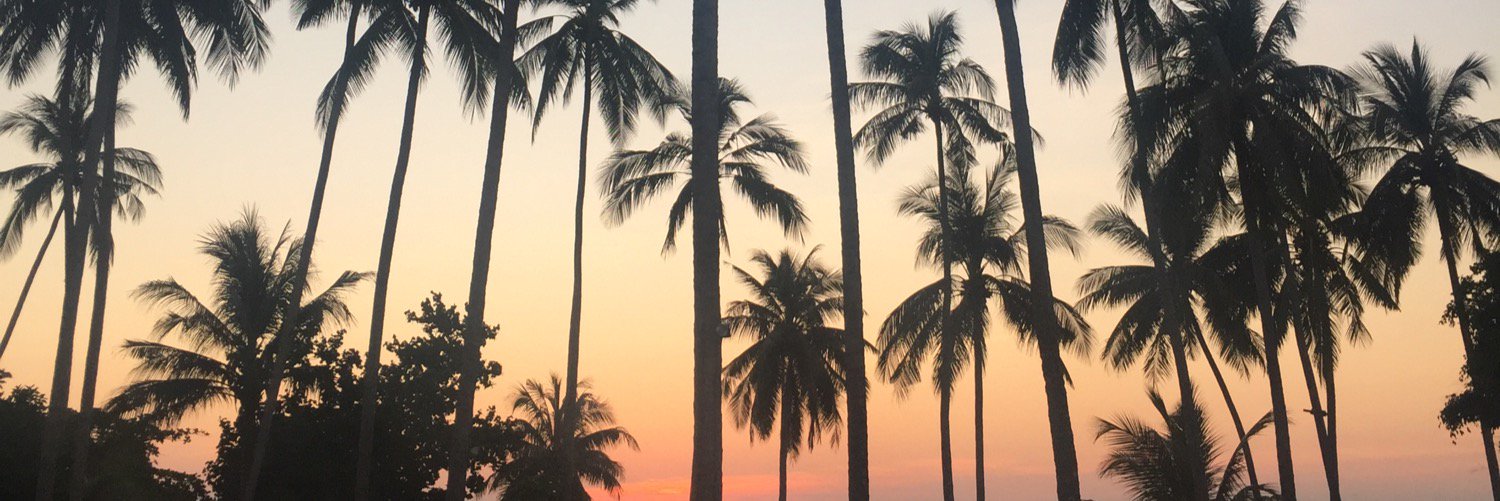 LouisaGwillim's profile banner image