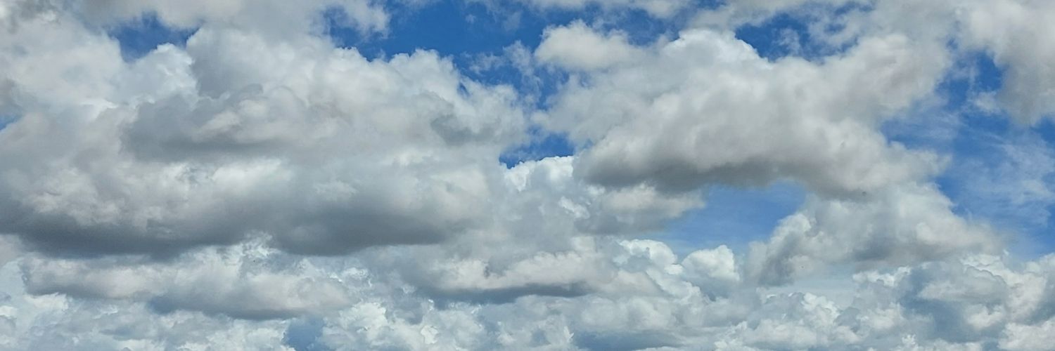 EstelaChvez's profile banner image
