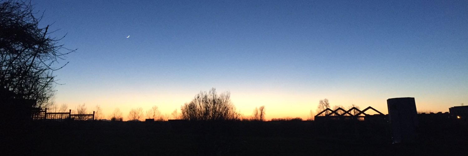CariePointer's profile banner image