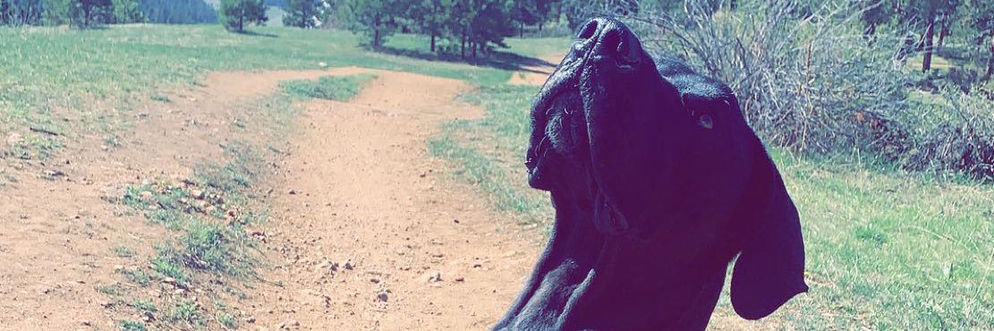 Tea-Storm (☕️☔️) banner