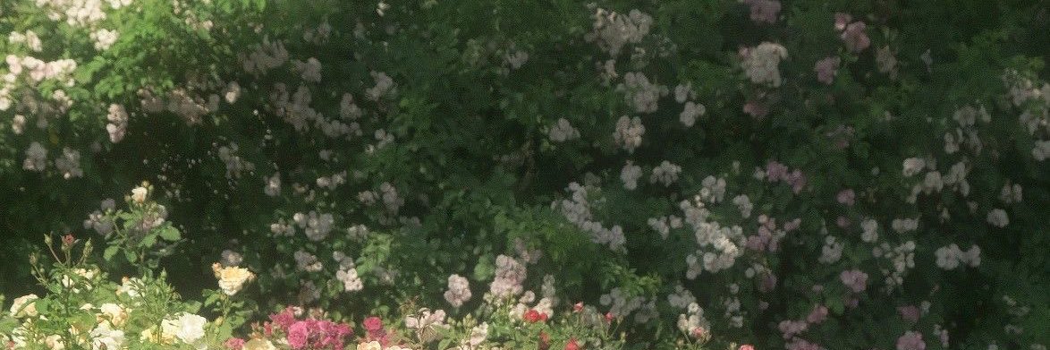 愛 banner