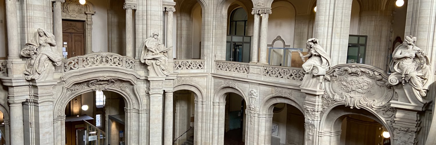 Ronen Steinke banner