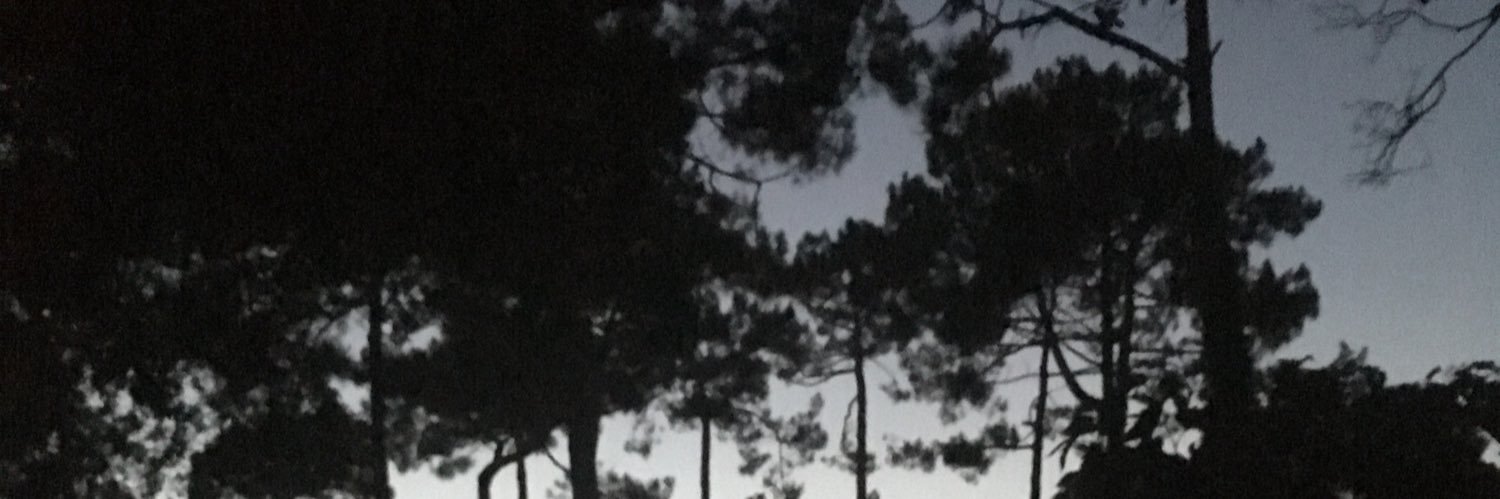 __manuer's profile banner image