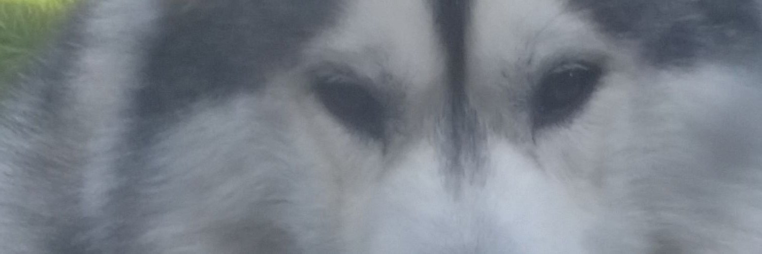 janet_coops's profile banner image
