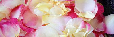 lindasawayaART's profile banner image