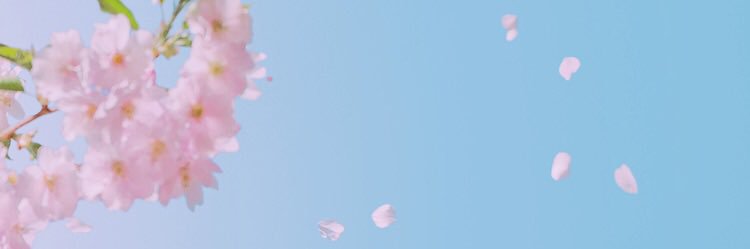 MagdungMom's profile banner image
