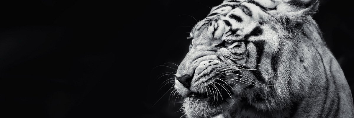 ChrisJayRamirez's profile banner image