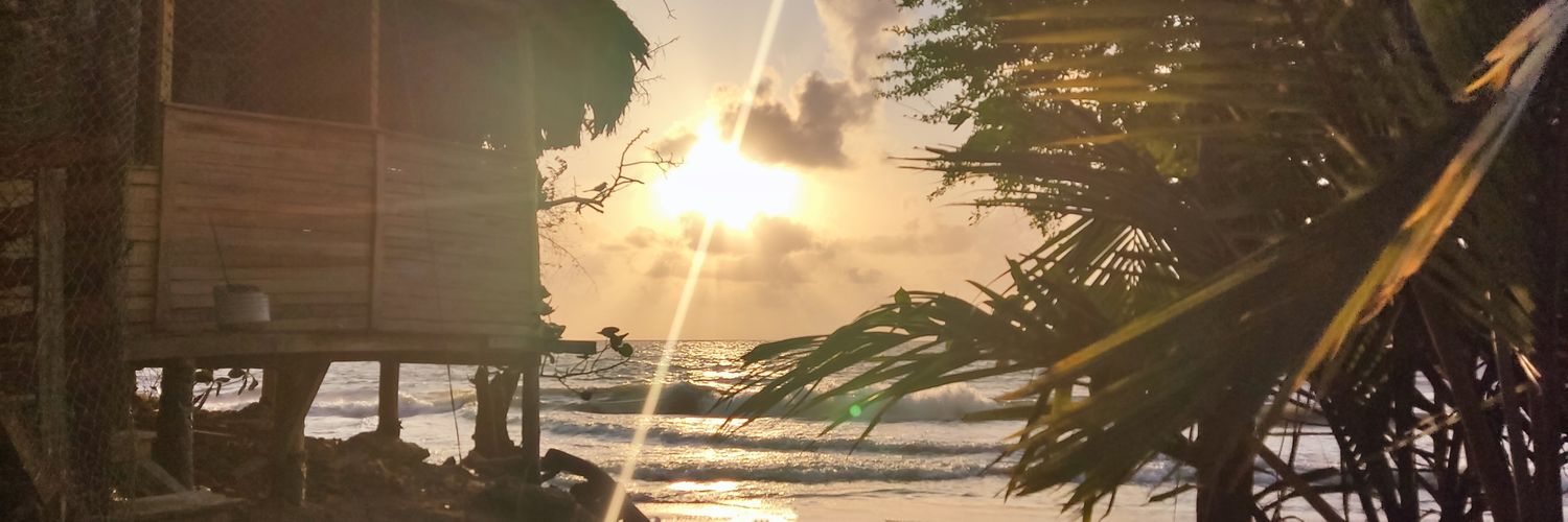 estebandidonft's profile banner image