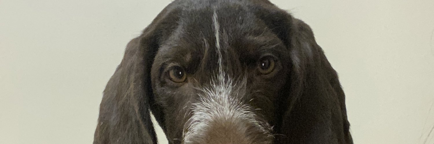 jloooo_'s profile banner image