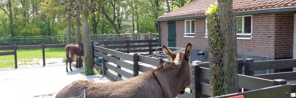 DeNijkamphoeve Profile Banner