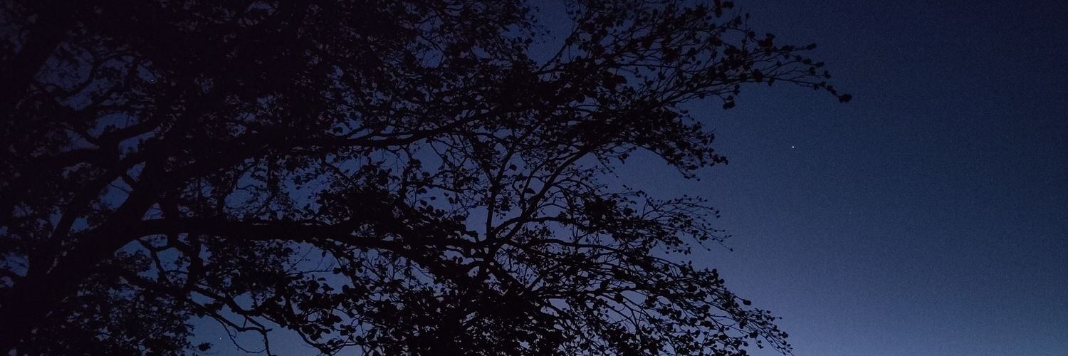 ChrisRuthLee's profile banner image