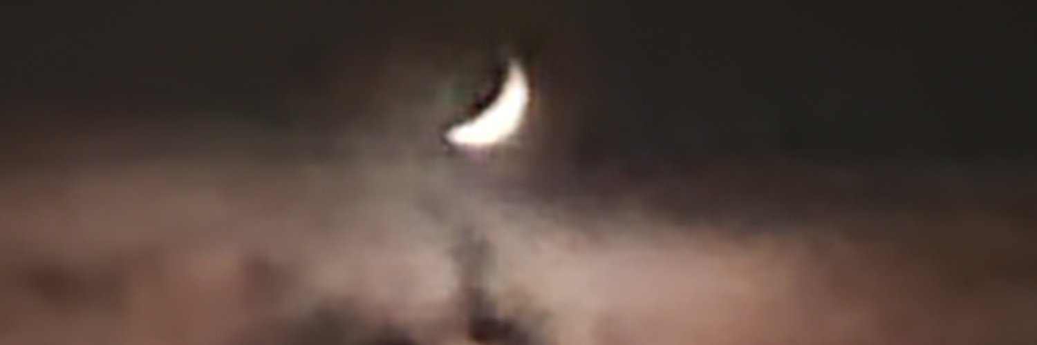 StephDanforth1's profile banner image