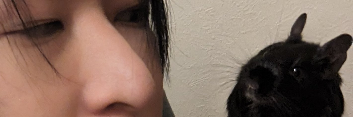 mandra_nitoryu's profile banner image