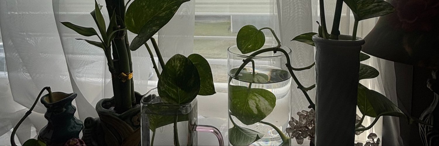 JLOWdia's profile banner image