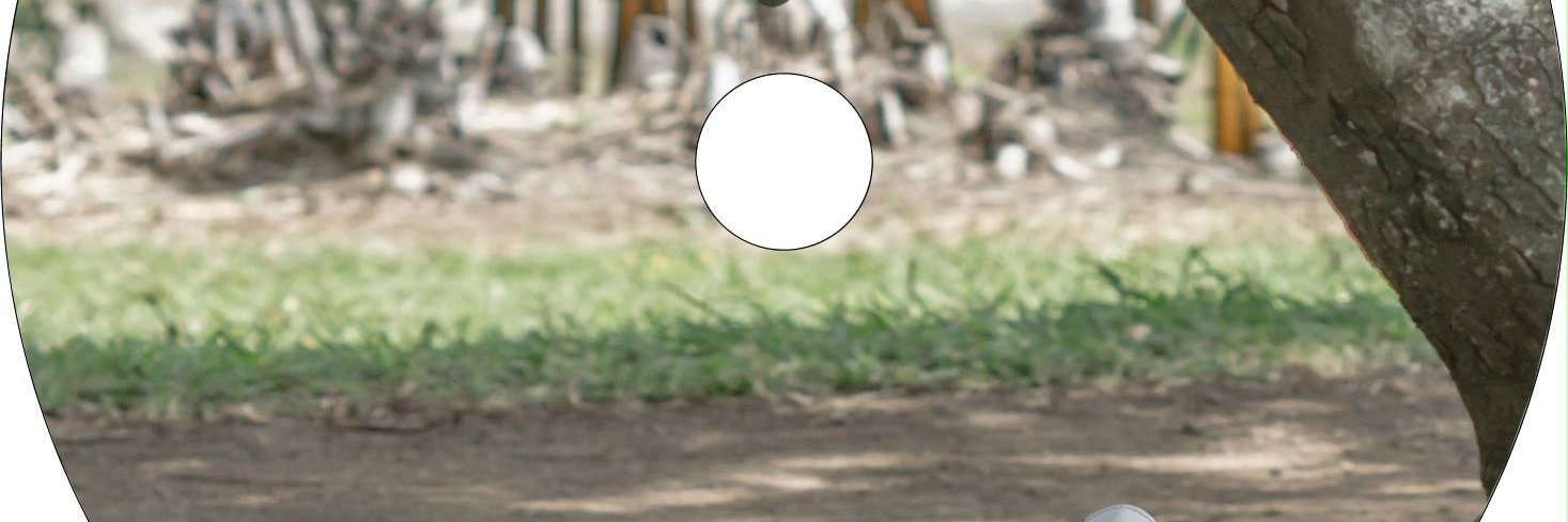LPfoxR's profile banner image