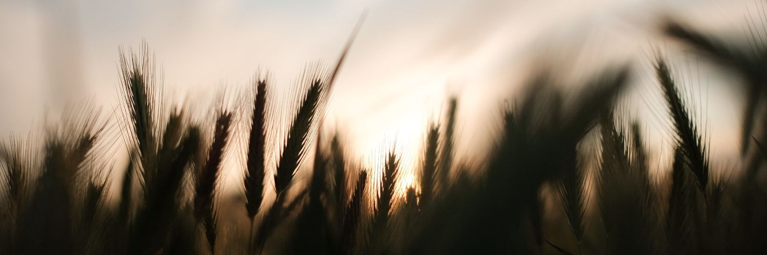Pet_terP's profile banner image