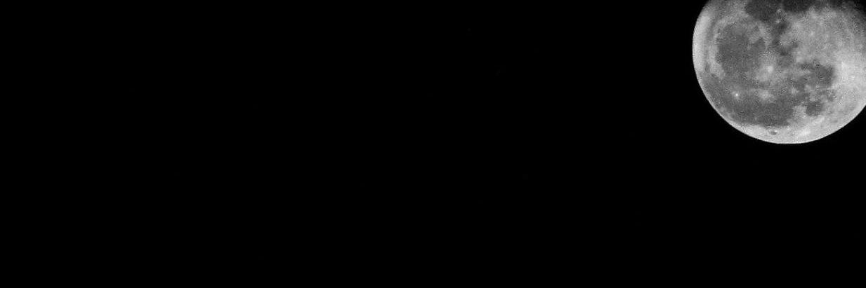 Remy banner