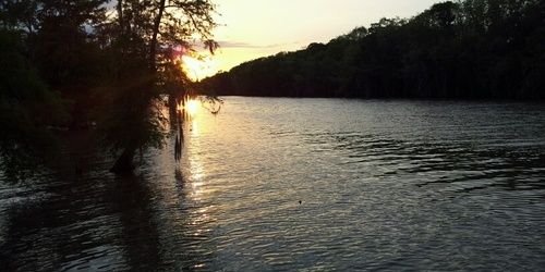 ColemanRollTide's profile banner image