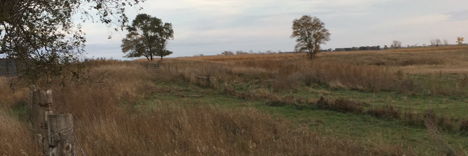 Aaron Koch banner