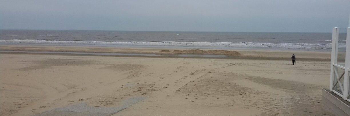 striptekenaar banner