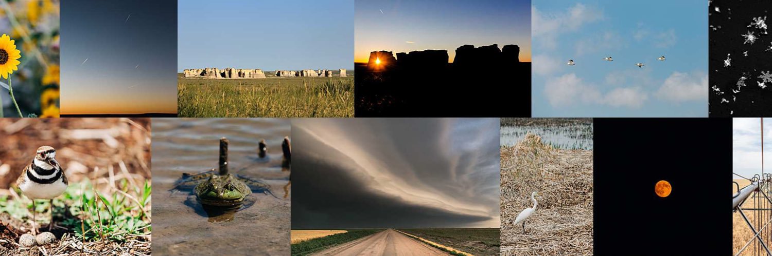 Laura Boroughs-Haffner banner