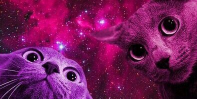 AbbieBennefeld's profile banner image