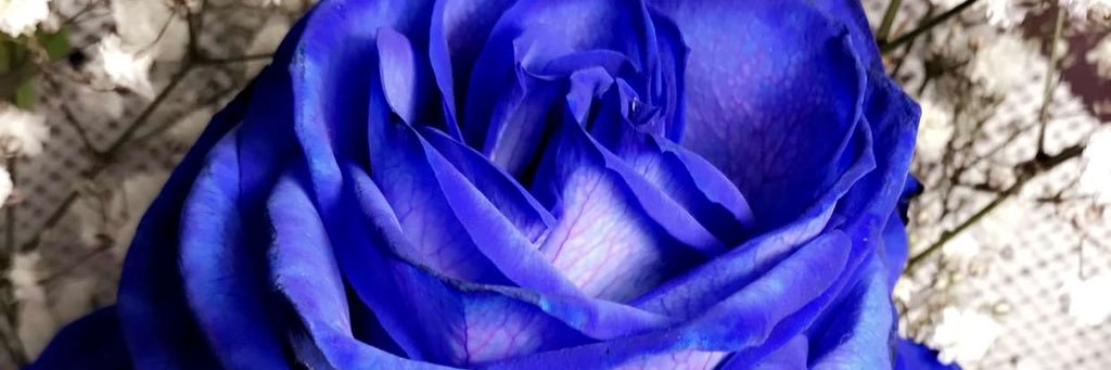 m_naanee's profile banner image