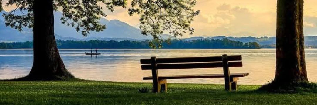 shusmita191's profile banner image