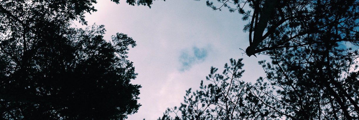 mireiabm4's profile banner image