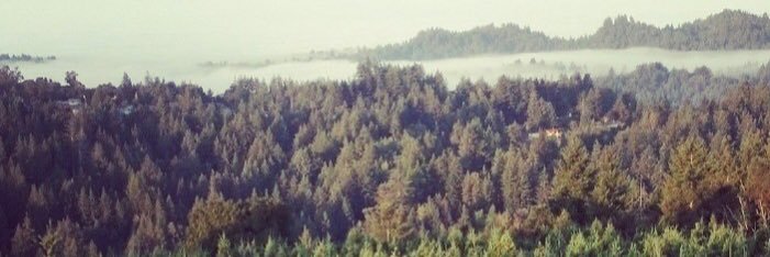 T33ZYC23's profile banner image