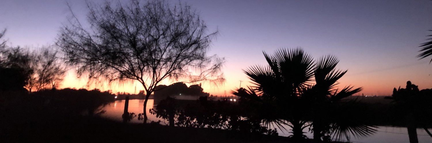Gabysaldiivar's profile banner image