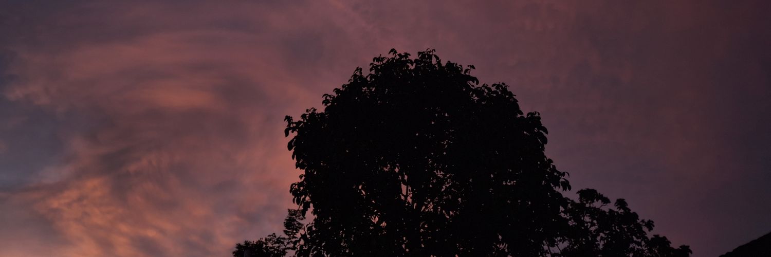 BarbaraManzaana's profile banner image