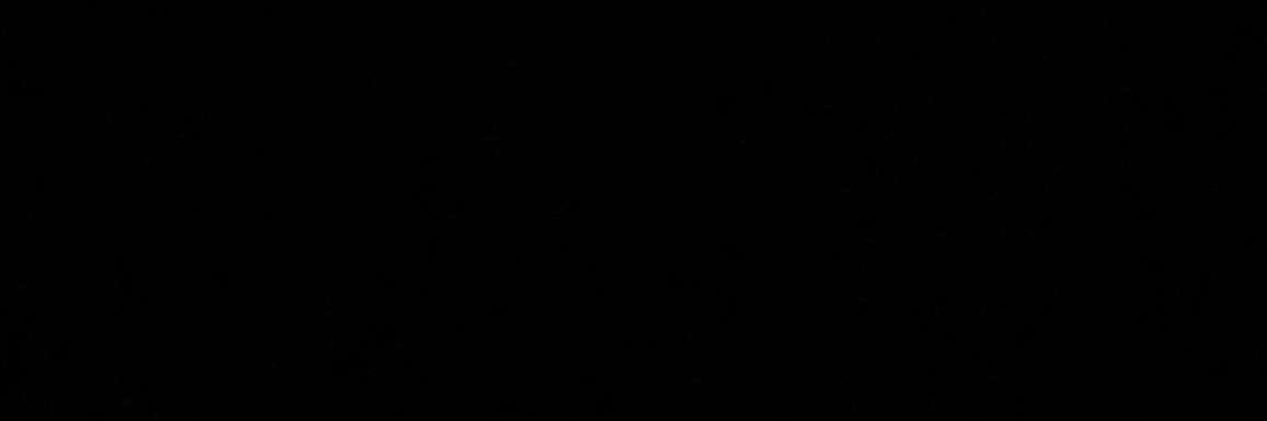 🏴‍☠️ banner