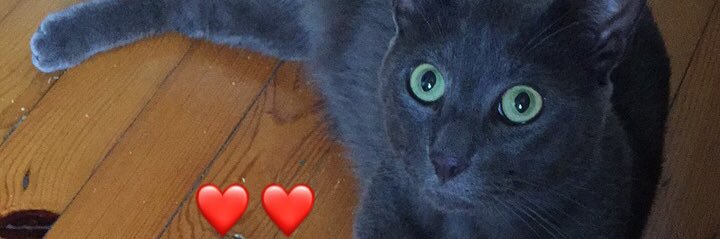 songibi's profile banner image