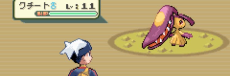 puzzdra_810_'s profile banner image