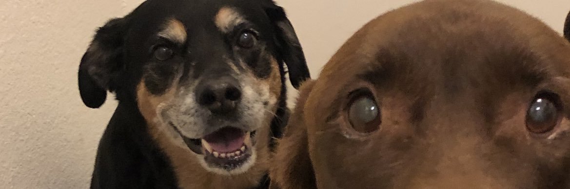 anaroser0's profile banner image