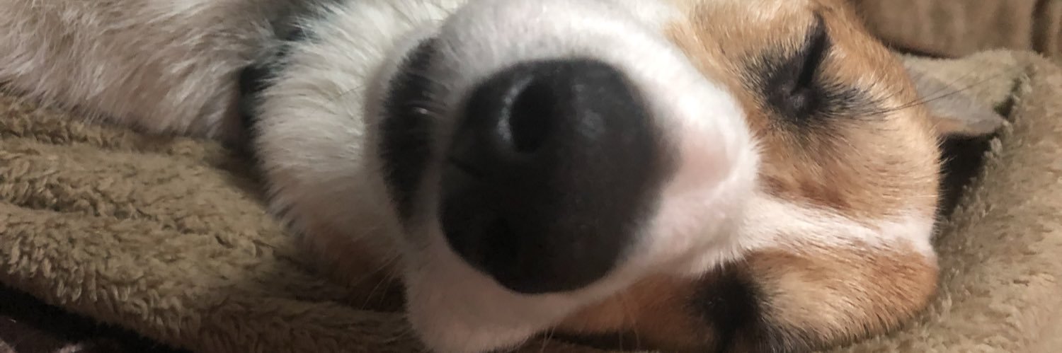 ⎝⏠⏝⏠⎠ banner