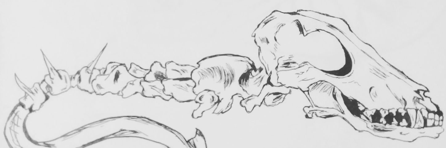 victor_corpse's profile banner image