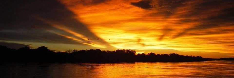 ronald_saunders's profile banner image