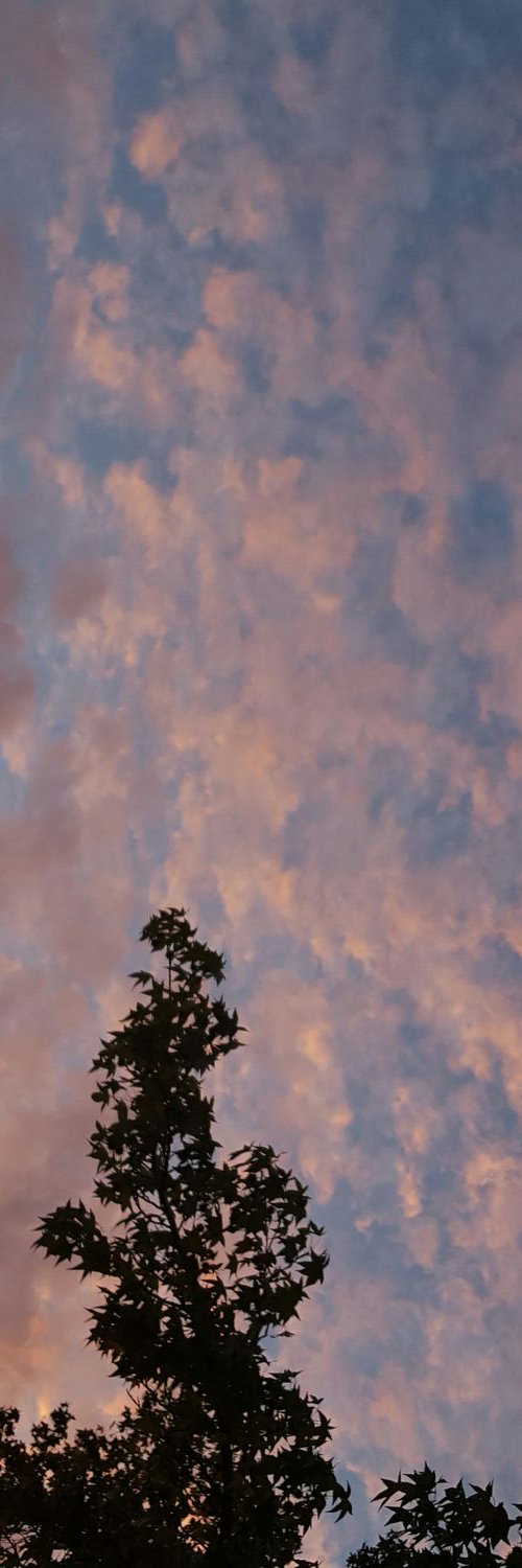 Jess_1D_23's profile banner image
