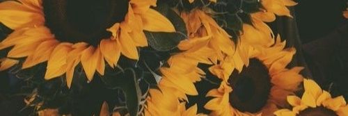 AscenRS's profile banner image