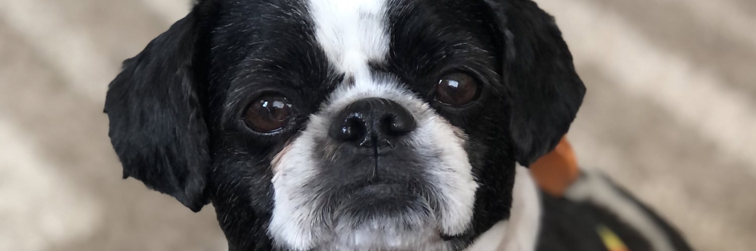 sarykb's profile banner image