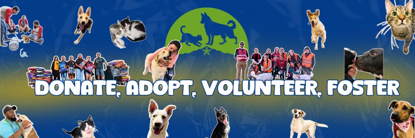 humanesocietyep's profile banner image