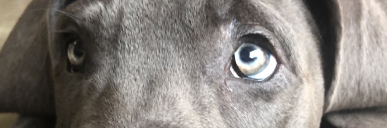 blakes_sanders's profile banner image