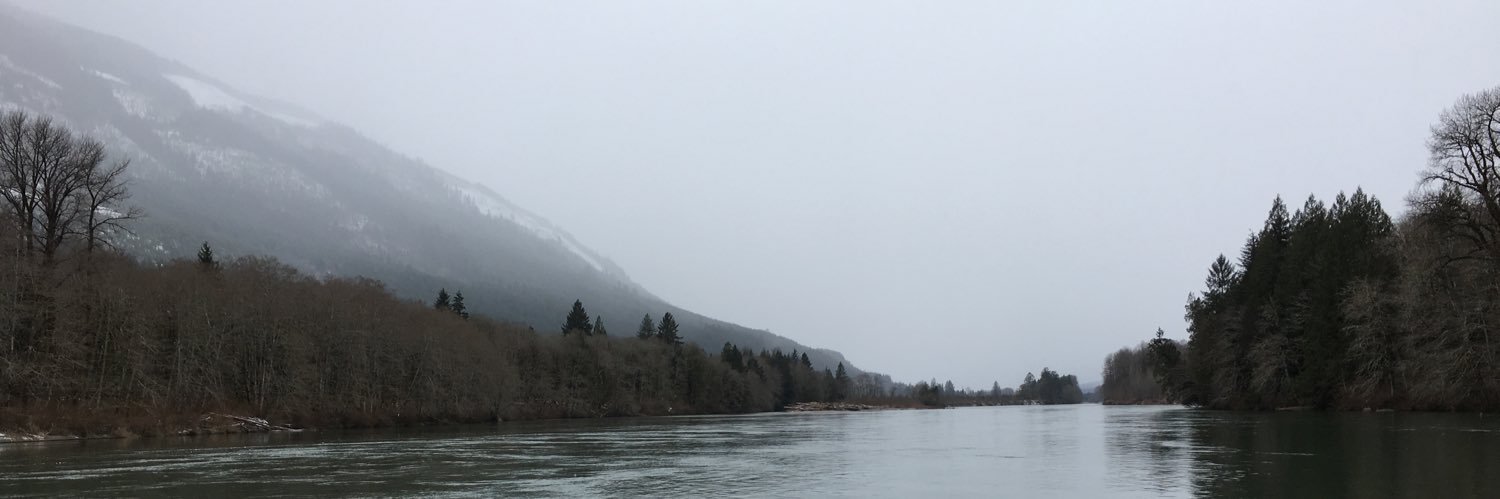 laynahannum's profile banner image