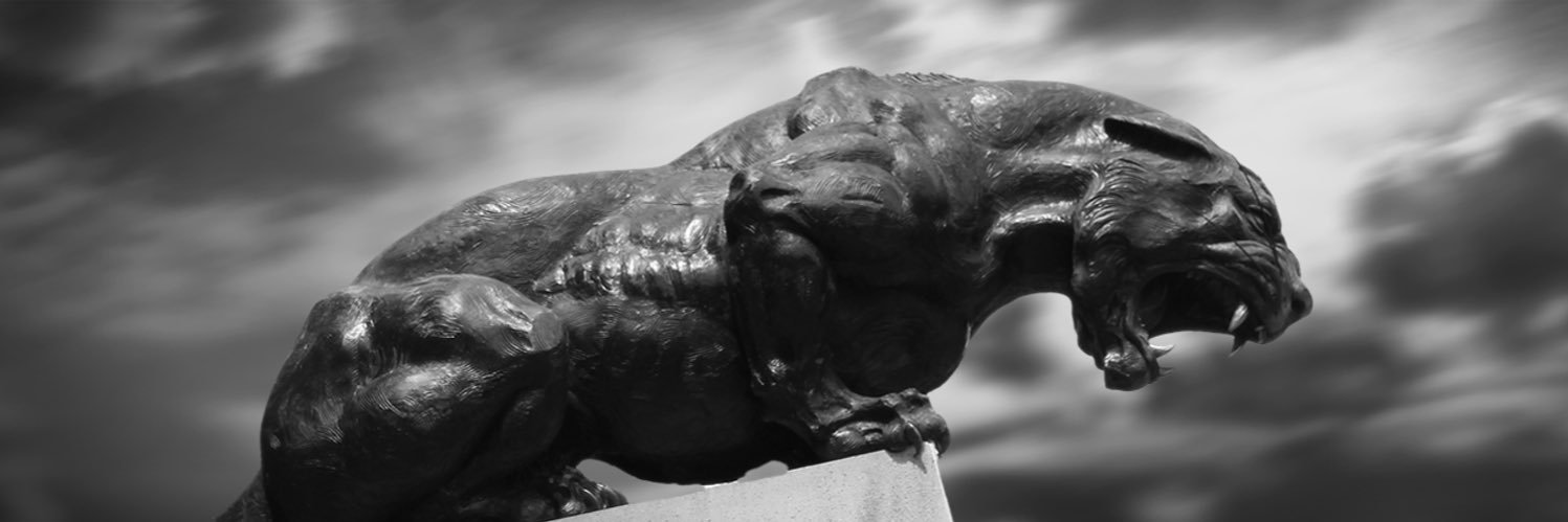 SpLiT_77's profile banner image