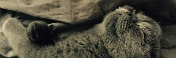 alby_bla's profile banner image