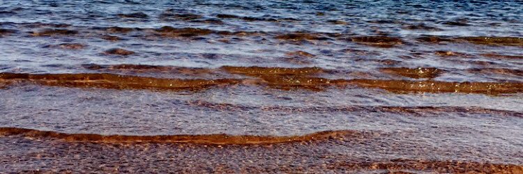 al_fooz1's profile banner image